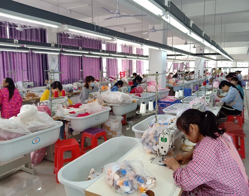 在安康汉滨办厂之思 龙武与房太吉的启示